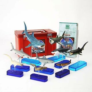 Colorata Real Figure Box Set Shark Deluxe From Japan F/s