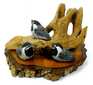 Signed Hand Crafted Black Capped Chickadees Drift Wood Carving On Black Walnut