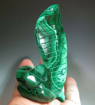 3.  5 " Natural Green Malachite Snake Cobra Crystal Carving Gemstone Gift 1967