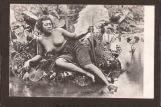 Samoa.  Samoan Venus After The Bath.  Topless.  Zealand Post Card.