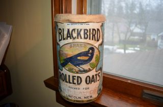 Rare Vintage Blackbird Rolled Oats Box Cardboard H P Lau Co.  Lincoln Neb 3 Lbs
