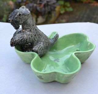 Kerry Blue Terrier.  Handsculpted Ceramic Candy Dish Ooak.  Look