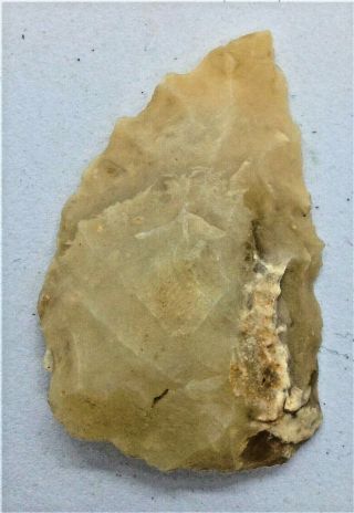 Ancient Stone Age Saharan Neolithic Flint Arrowhead - 50,  000bc Very Rare Type