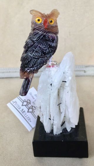Fluorite Owl On Albite Crystal 4 " - Peter Muller