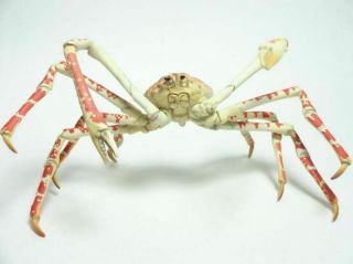 Retired Rare Yujin Kaiyodo Japanese Spider Crab Pvc Figure Figurine Model