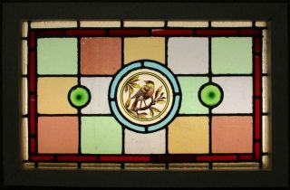 Victorian English Leaded Stained Glass Window Hand Painted Bird 24 " X 15.  75 "