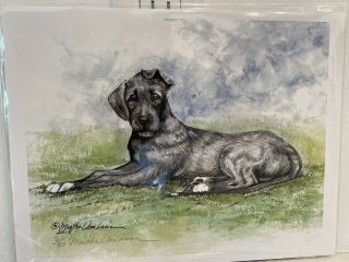 Irish Wolfhound Puppy Watercolor 8x10 By Martha Van Loan