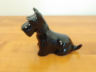 Vintage Rookwood Pottery Sitting Black Scottish Terrier Scotty Dog w/ Orig Box 2