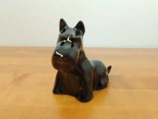 Vintage Rookwood Pottery Sitting Black Scottish Terrier Scotty Dog w/ Orig Box 3