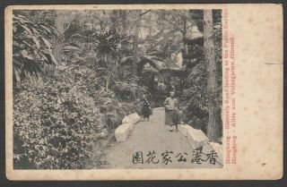Postcard Hong Kong China Antique View Glenealy Road Leading To The Public Garden