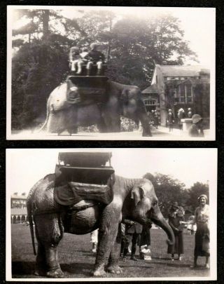 2 X 1932 Bristol Clifton Zoo " Judy " The Elephant Real Photo Postcards