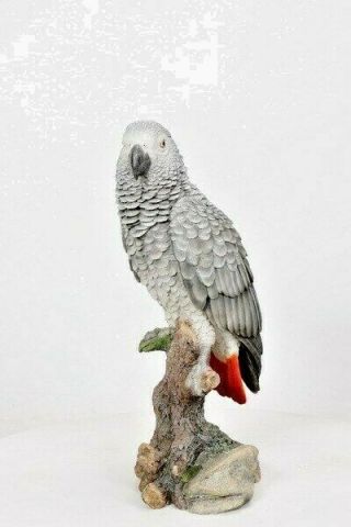 Gray Gabon Parrot Tropical Pet Bird Figurine Decoration Ornament Mexico 15 In.