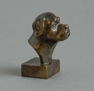 Stunning Vintage Solid Bronze Miniature Mastiff Dog Head Bust Sculpture Signed