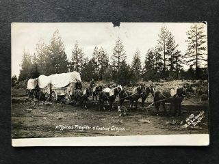 Rppc - Bend Or - Oregon - Typical Freighter - Bruno Bakowski - Real Photo - Ore - Horses - Dog