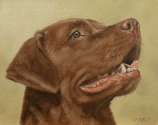 Chocolate Labrador Retriever Dog Oil Painting By Uk Artist John Silver