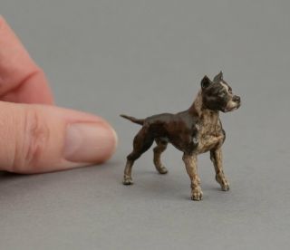 Tiny Vintage Cold Painted Bronze Miniature American Pit Bull Terrier Dog Figure