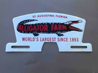 Old Alligator Farm Tourist St.  Augustine Florida Souvenir License Plate Topper