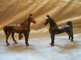 Gladys Brown Edwards/dodge/morgan Stallion & Five Gaited Saddlebred Stallion