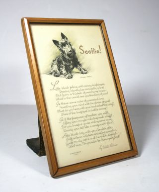 Antique Rare SCOTTIE MOTTO PRINT Morgan Dennis Gibson Scottish Terrier Buzza Dog 3