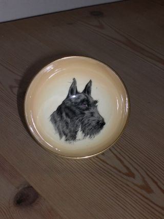 Rare Antique Scottish Terrier Dog Oil Painting On Paragon Bowl 1939 Signed