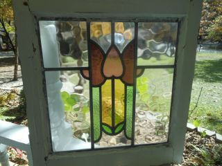 Hn - 95 Pretty Older English Tulip Leaded Stained Glass Window 3 On Hand 18 X 19