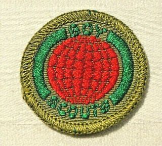 Red Globe Boy Scout World Friendship Proficiency Award Badge Black Back Large