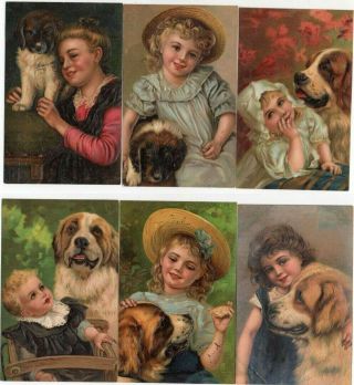 Set Of 6 Victorian Girls With Dogs Antique Pfb Postcards - C200