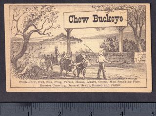 Ithaca NY 1800 ' s Cigar Maker Tobacco Card Chew Buckeye Frog Puzzle General Grant 3