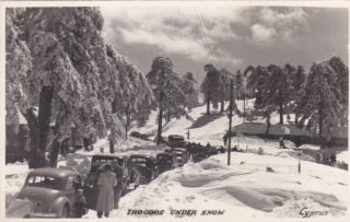 Cyprus Postcard Troodos Under Snow No Publisher But Known To Be Gulian