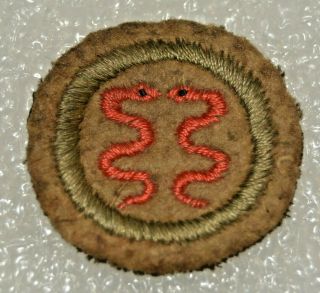 Two Red Serpents Boy Scout Public Health Felt No Words Proficiency Award Badge T
