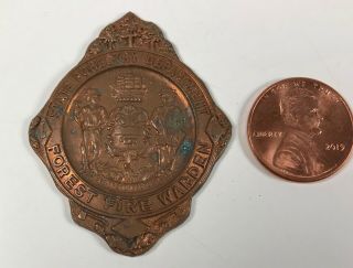 Antique Vintage State Forestry Department Forest Fire Warden Badge Medallion