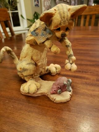 Country Artists A Breed Apart 70422 Flash With Toy Mouse Rare