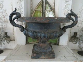 Omg Old Vintage Cast Iron Metal Garden Urn Planter Shapely Fancy Handles Patina