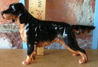 Vintage Royal Doulton Gordon Setter - A Well Stacked Coated Sporting Show Dog
