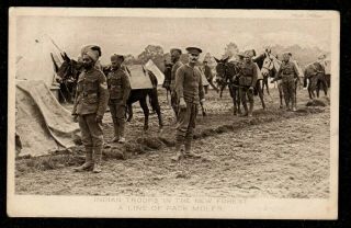C1915 Ww1 Indian Troops Regiment With British Soldier In The Forest Postcard