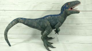 Jurassic World Blue Raptor Plush Universal Studios Velociraptor