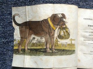1829 Very Rare " The General Character Of The Dog " W.  Fabulous Color Print