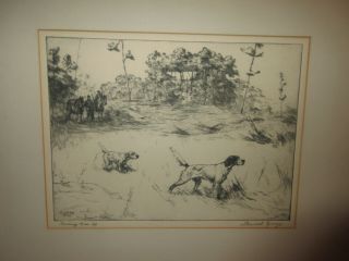 1932 Percival Rosseau Setter Hunting Dog Etching Print " Backing Him Up " By B&b