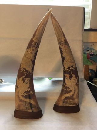 Long 15 1/4” Water Buffalo Horns Carved With Dragon And Phoenix On Wood