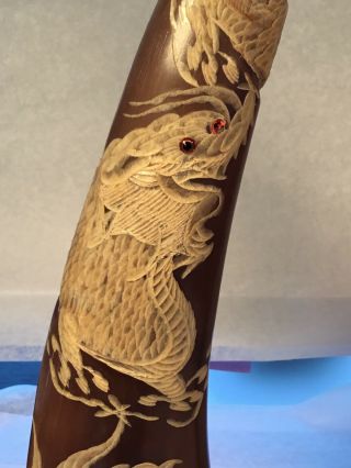Long 15 1/4” Water Buffalo Horns Carved with Dragon and Phoenix on Wood 3