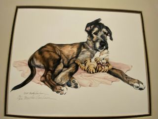 Irish Wolfhound Limited Edition Pencil Signed 11 X14 Print By Van Loan