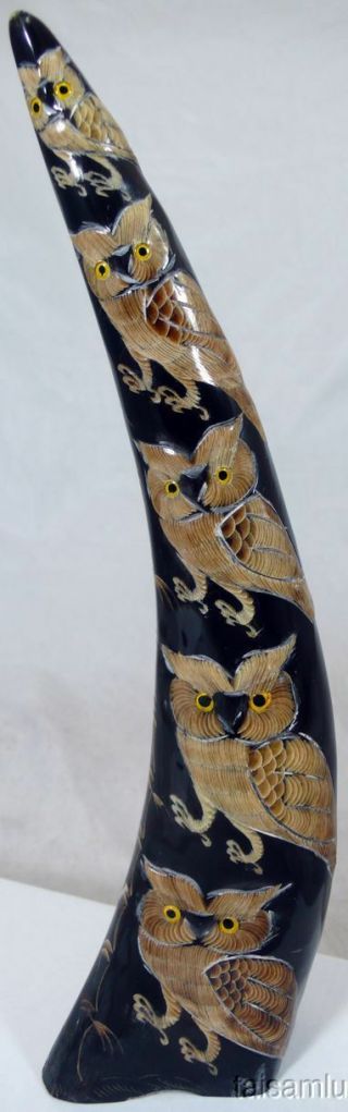 Special Owl Sculpture (statue) Carved Buffalo Black Horn N15
