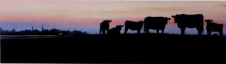Angus Cows Peaceful Pastures Art Print Landscape Rustic Farmhouse Wall Art Lg