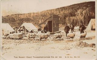 Dawson City Yukon The Nanny Goat Transportation Co.  1899 Real Photo Postcard