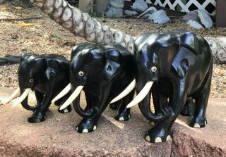 Vintage 3 Set Ebony Wood Hand Carved Elephants From Ceylon All Tusks &toe Nails