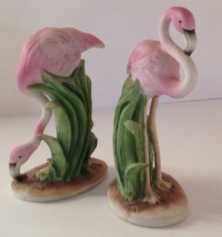 Fabulous Vintage Pink Flamingos L 