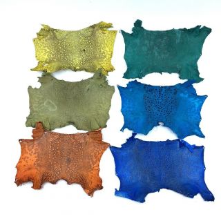Bufo Marinus Cane Toad Skin Professionally Dyed Craft Leather Set Of 6 Matte 4