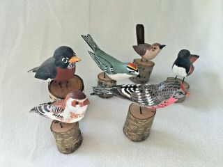 6 Signed Hand Carved Wooden Bird Figurines Sculpture Birch Tree Base Gift
