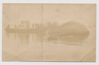 Rppc Whaling Dead Whale Hunt Boat Crew Mammal Port Angeles Wa Tragedy Real Photo