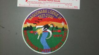 Boy Scout Oa 31 Naguonabe Lodge Jacket Patch 7606ii
